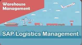 SAP Logistics Management