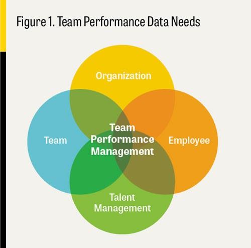 Business Team Development and Performance Management